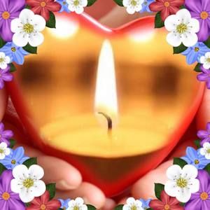 Meet your Posher, Collette